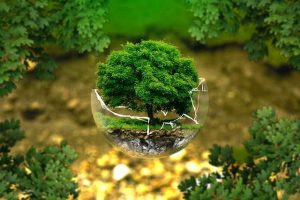 ambiente elezioni europee 2019